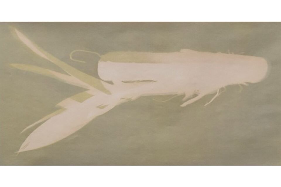 "Visiomancia" de Andrea Ostera.