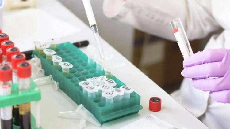 La ivermectina se ha utilizado para combatir enfermedades como el VIH y el dengue. 