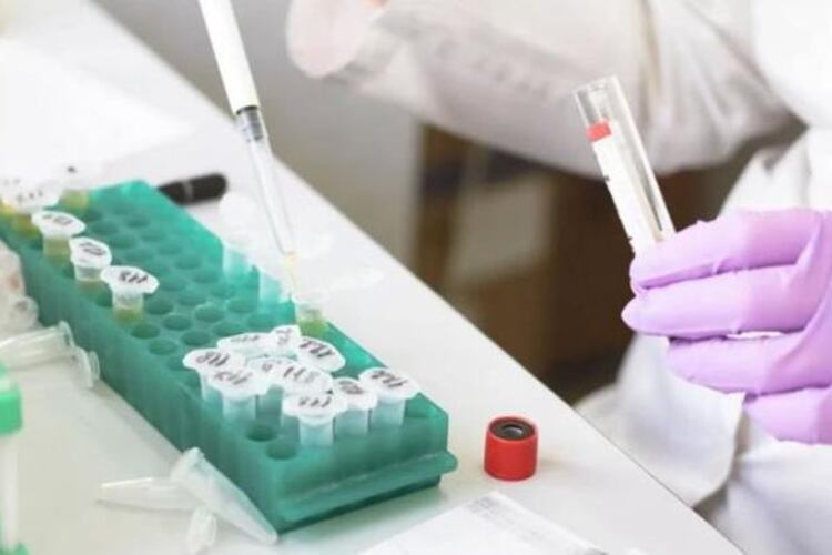 La ivermectina se ha utilizado para combatir enfermedades como el VIH y el dengue.