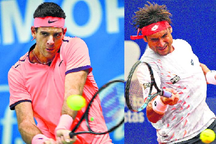 El año inolvidable de Juan Martín Del Potro se cierra ante David Ferrer, que cayó al puesto 21º del ranking.