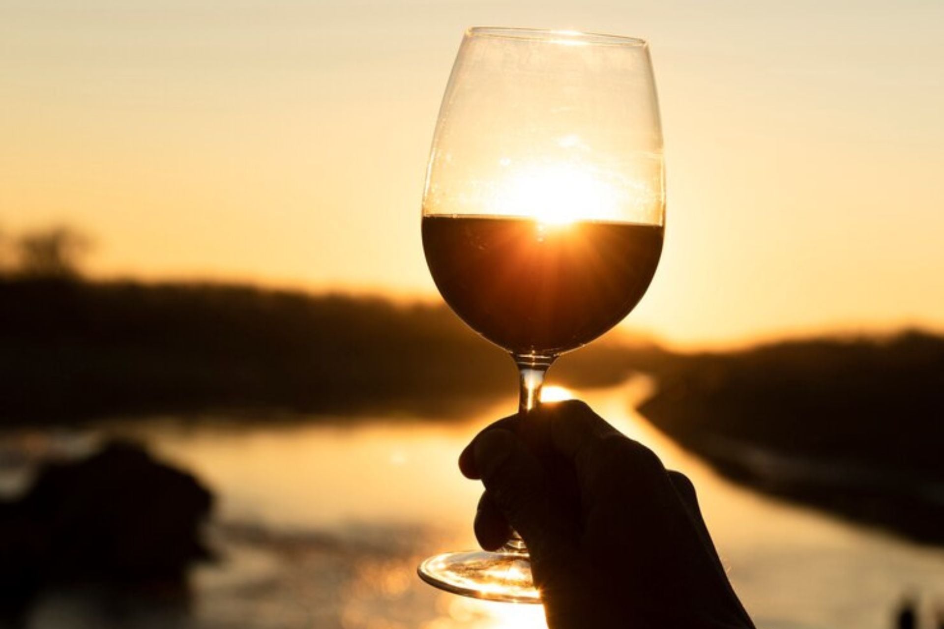 Con más de 140 años de historia, Bodega Trapiche es líder en la elaboración y exportación de vinos argentinos