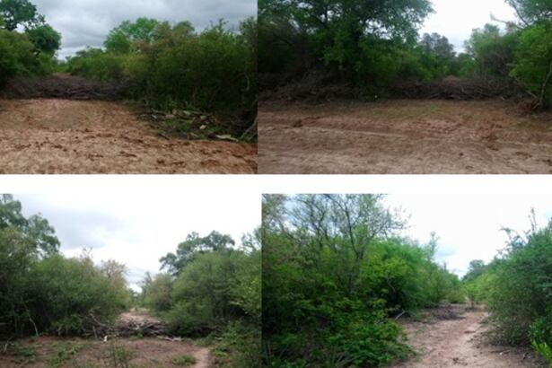 Picadas de desmonte abiertas en la exploración