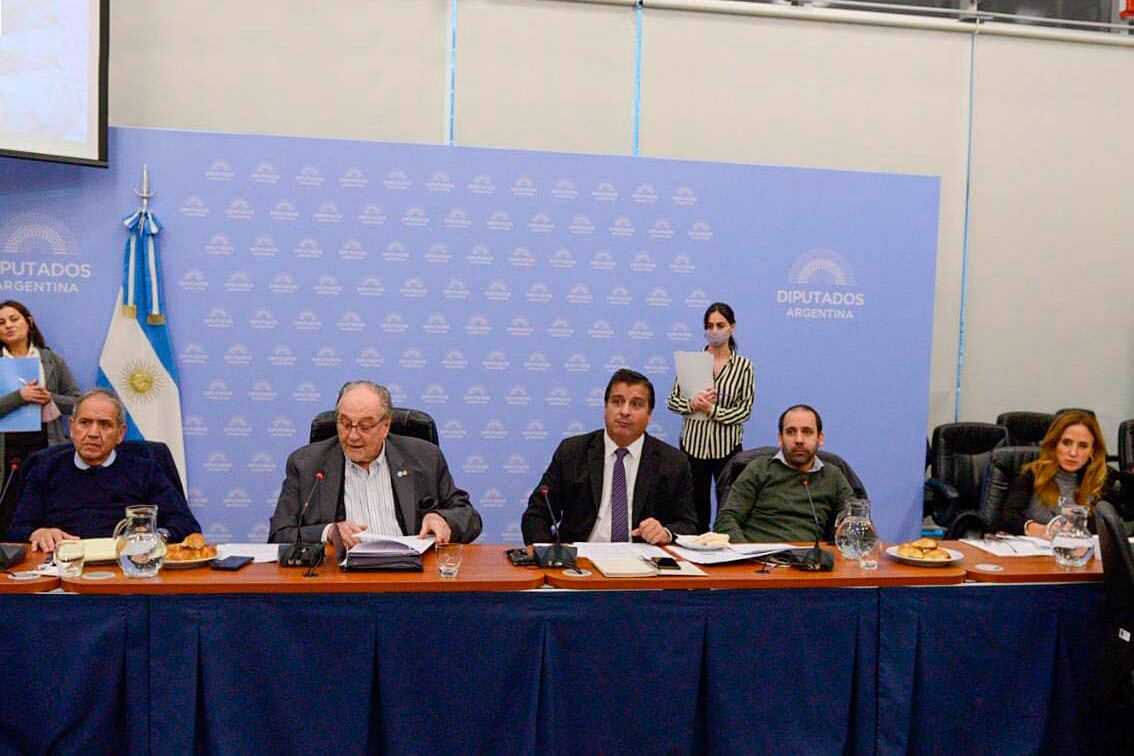 El diputado Carlos Heller conduciendo el debate en comisión.