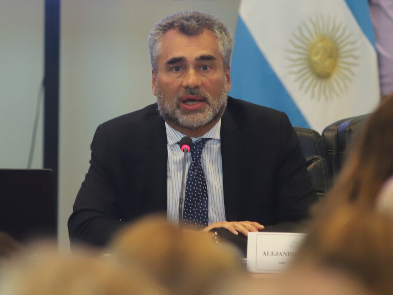 Alejando Vanoli, titular de la Anses, organismo que centraliza el operativo Ingreso Familiar de Emergencia.