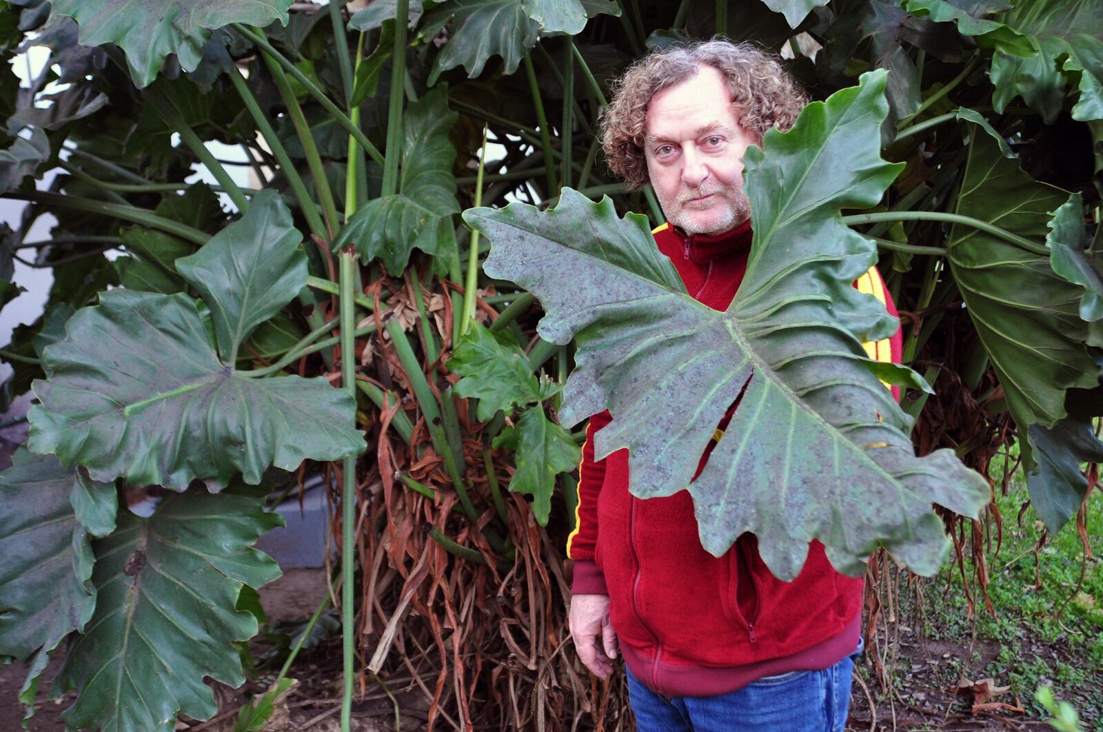 "Esta es una comedia negra con mucha psicología y mucho trabajo sobre la ética", describe Chamé Buendía.