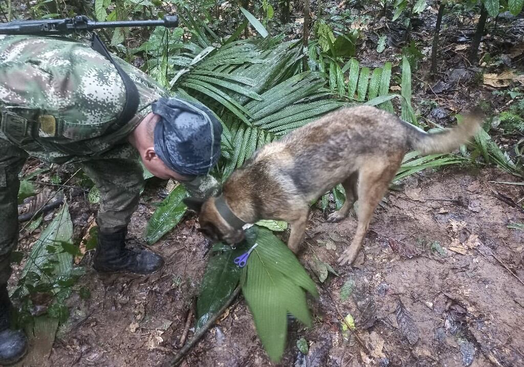 Un perro que formó parte de la búsqueda encontró una tijera y unas banditas que usualmente emplean las mujeres para sujetar el cabello, lo que le dio un indicio a los rescatistas. (AFP/Armada de Colombia)