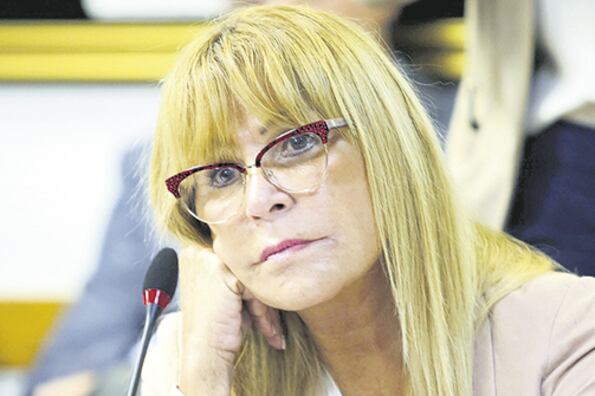 La diputada radical Aída Ayala.