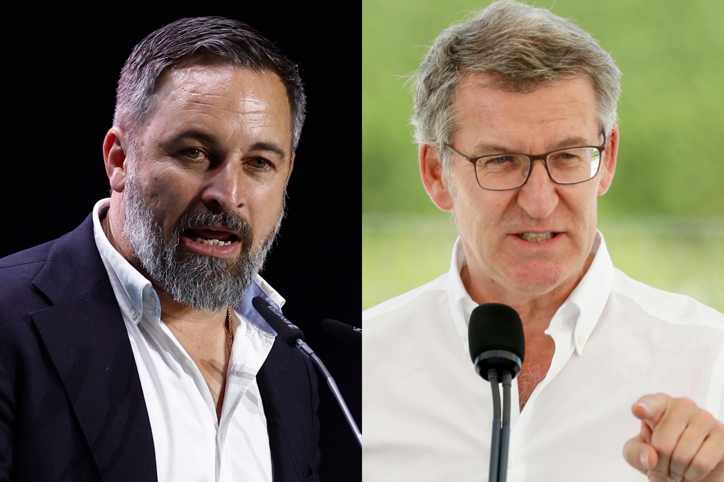 Santiago Abascal y Alberto Núñez Feijóo