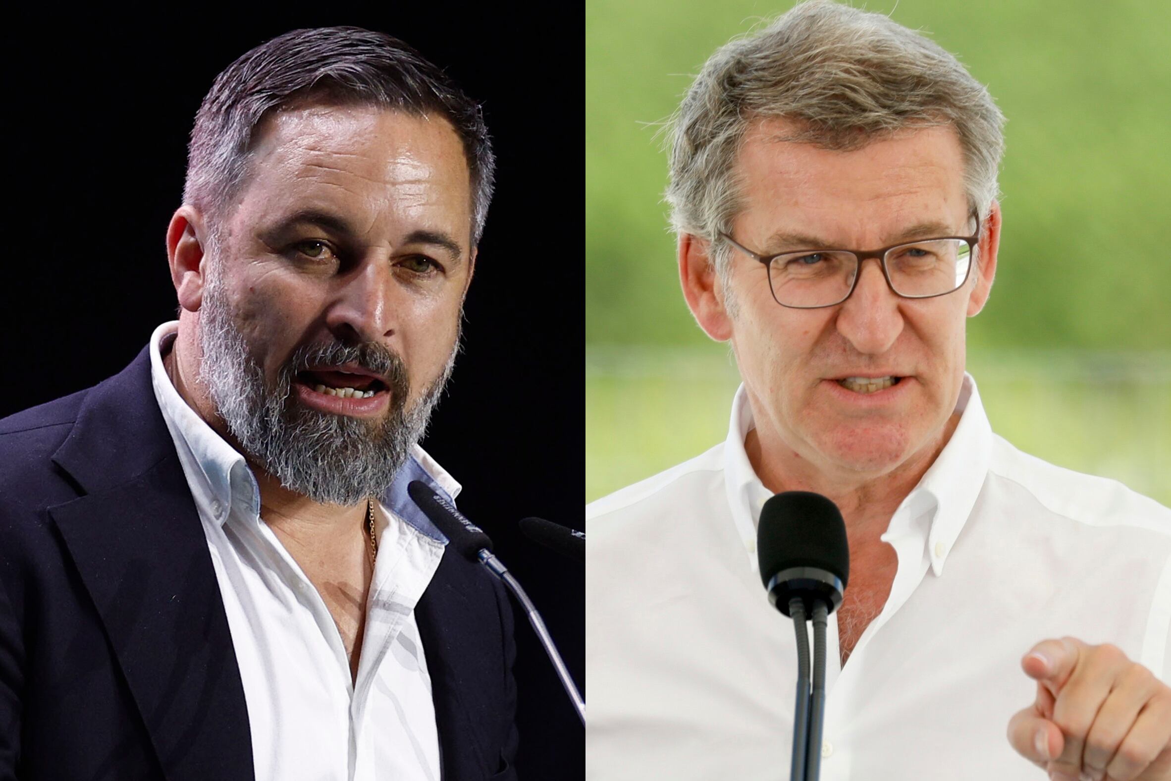 Santiago Abascal y Alberto Núñez Feijóo