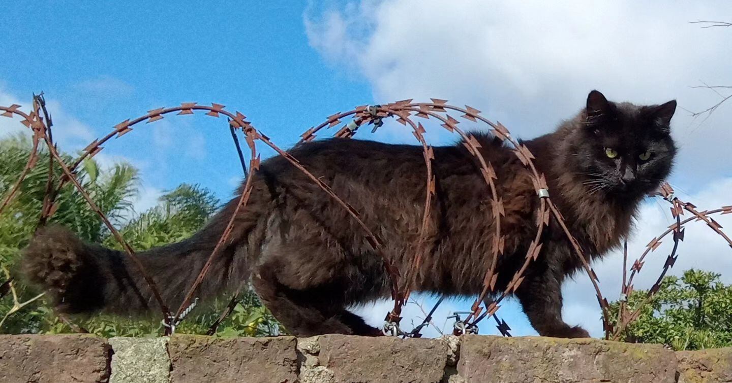 Detrás de un largo muro, por @claudiavagabunda.