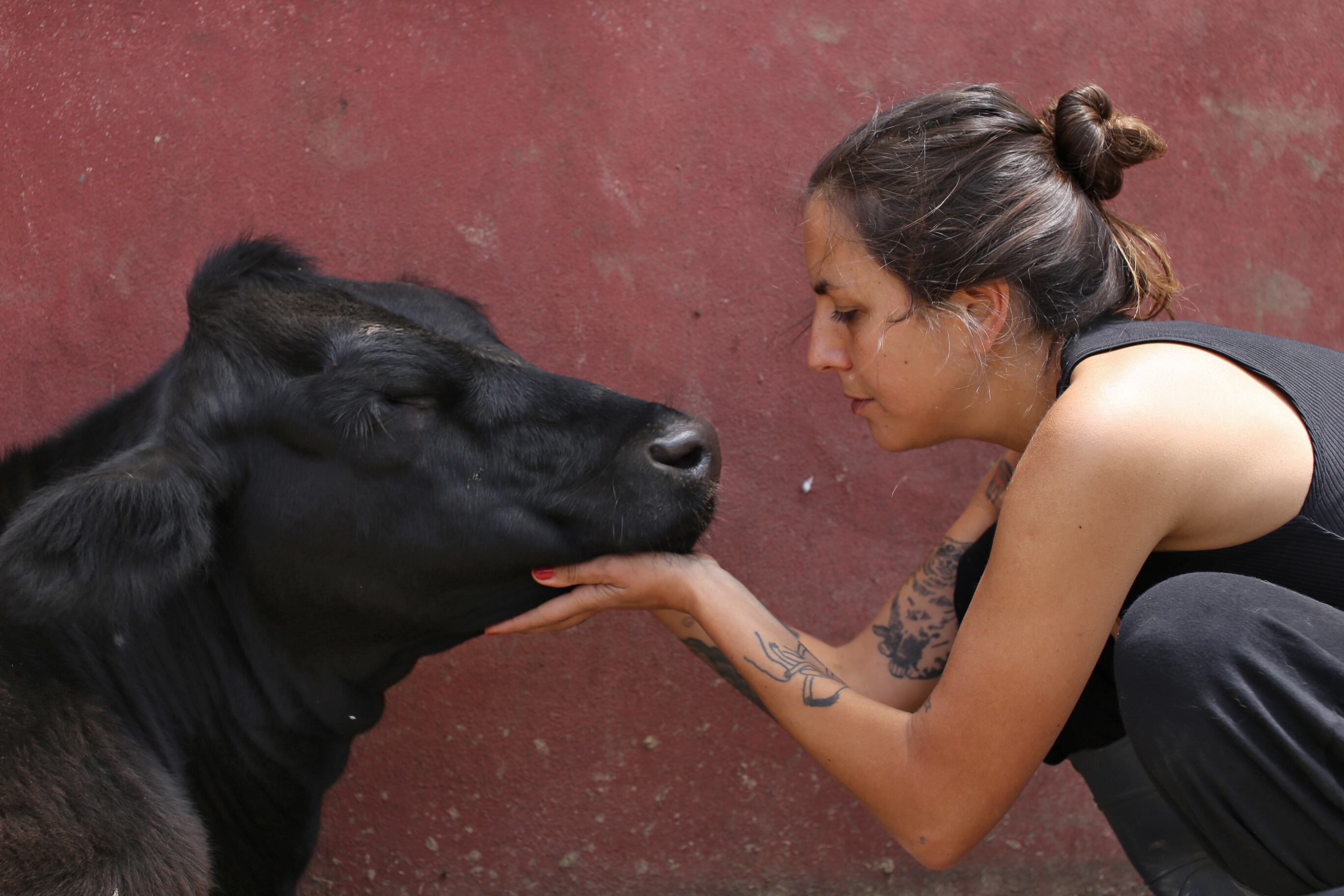 Malena con Save, una vaca rescatada del matadero de Morón, en Santuario Equidad. 
