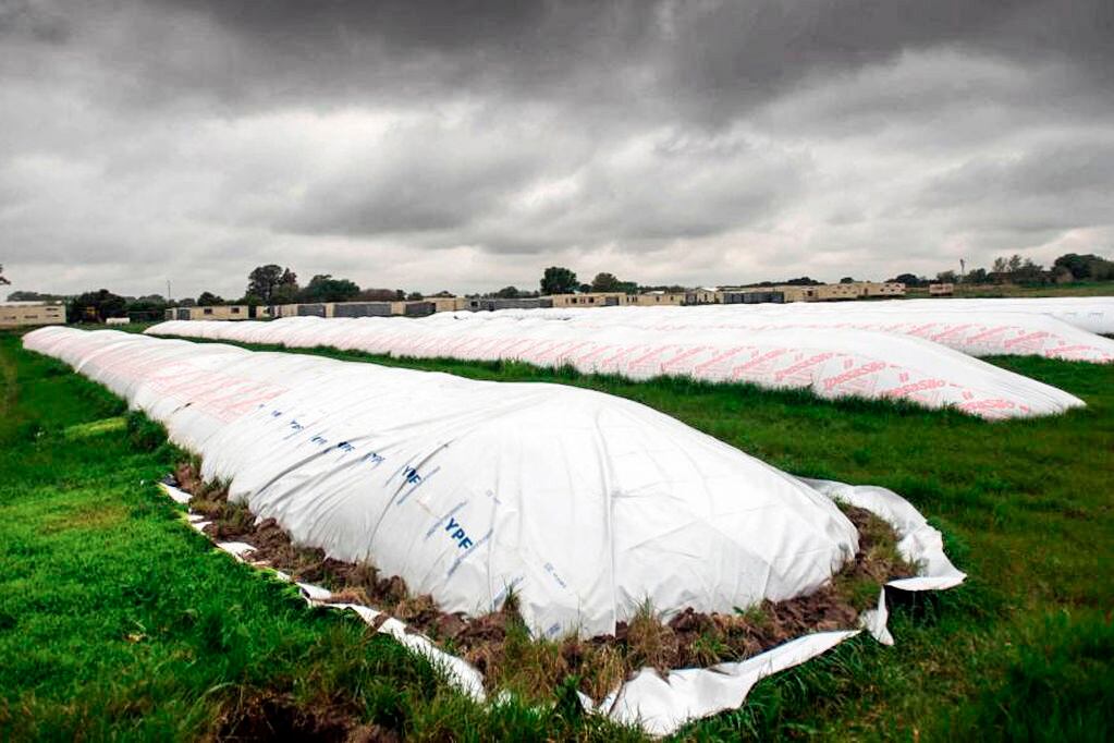 Hay 12.000 millones de dólares esperando en las silobolsas.