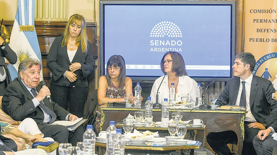 Los postulantes expusieron sus propuestas ante los integrantes de la comisión bicameral.