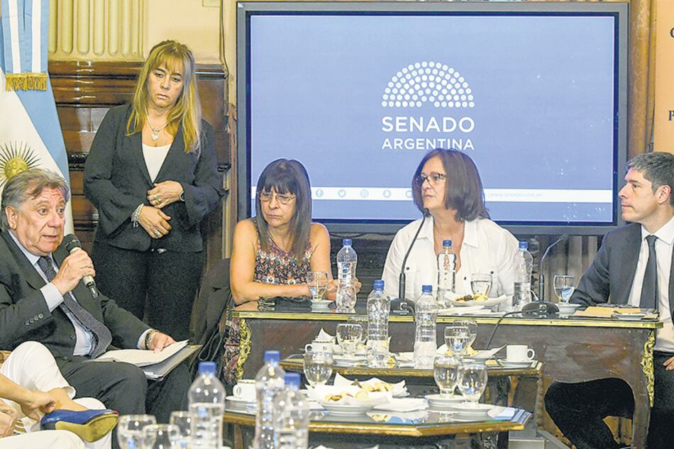 Los postulantes expusieron sus propuestas ante los integrantes de la comisión bicameral.