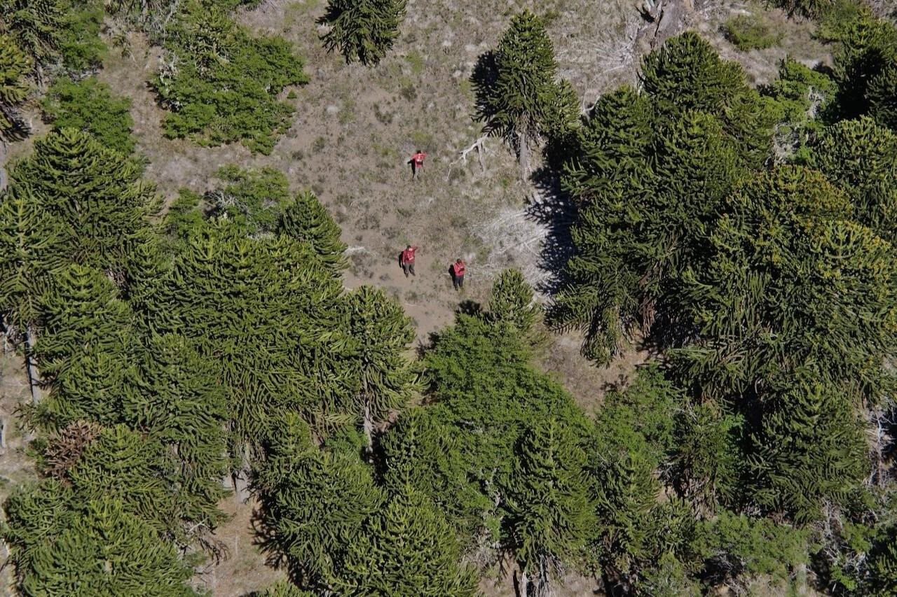 Encontraron al turista inglés que era buscado en el parque Lanín.