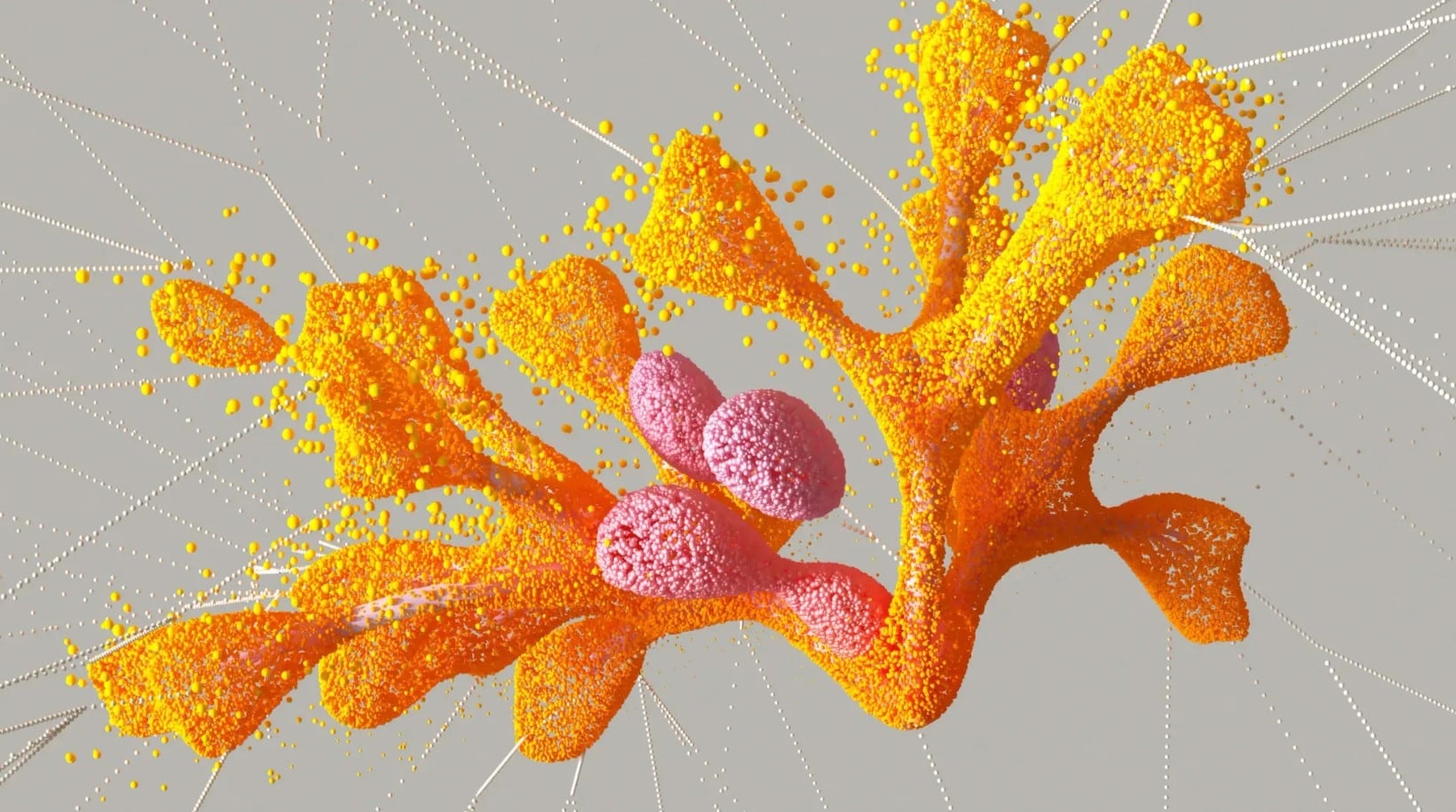La base de datos se hizo pública y se puso a disposición de los científicos