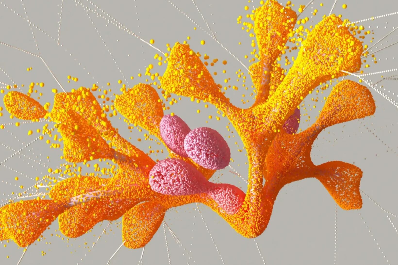 La base de datos se hizo pública y se puso a disposición de los científicos