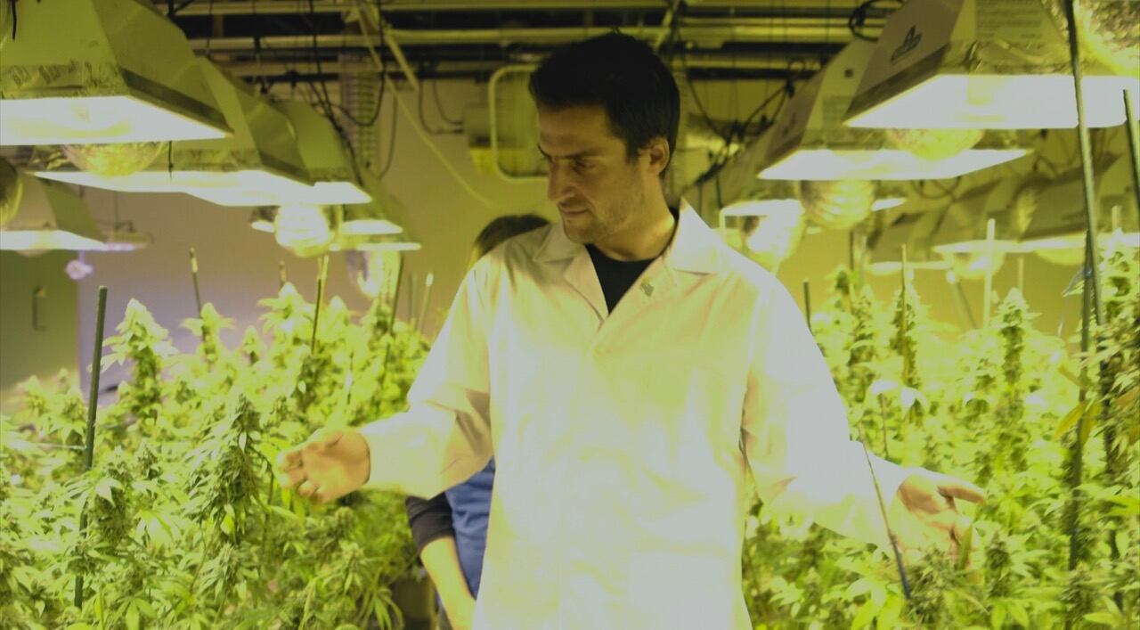 Activistas, organizaciones de fe cannábica y hasta minions y la Estatua de la Libertad son paradas de la misión.