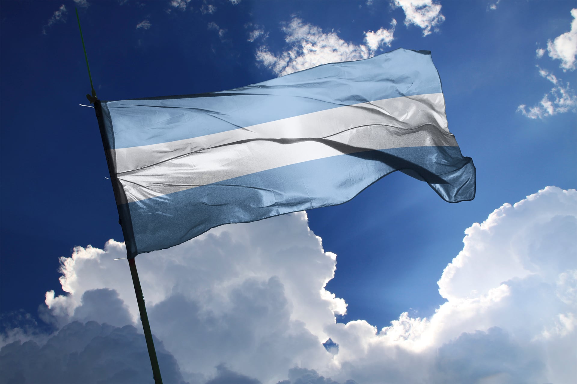 Con una bandera análoga a la argentina y registro abierto para futuros ciudadanos, Verdis busca ser mucho más que un meme