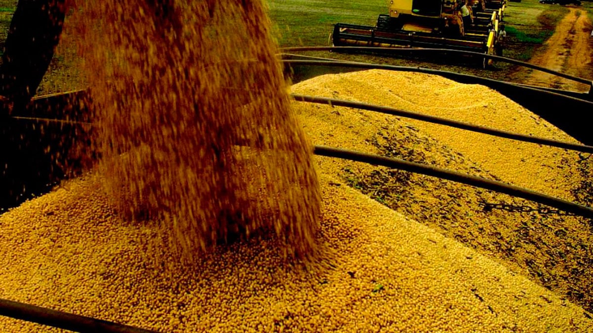 El objetivo es acelerar todo lo posible los plazos para la liquidación de las divisas debido al nivel crítico de reservas.