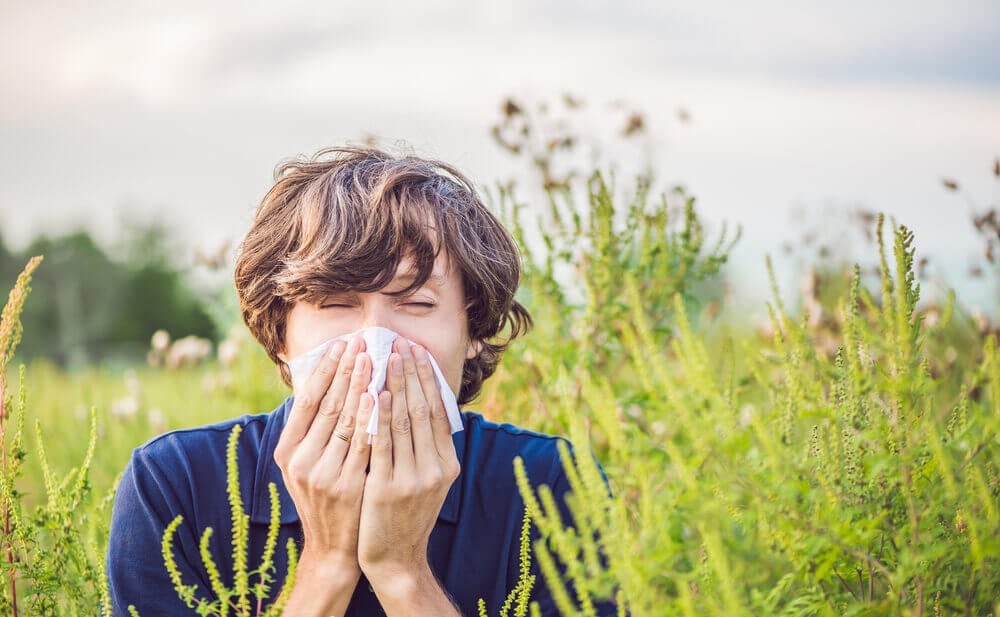 La alergia estacional, también conocida como polinosis, es una respuesta del sistema inmunológico a alérgenos presentes en el aire, como el polen.