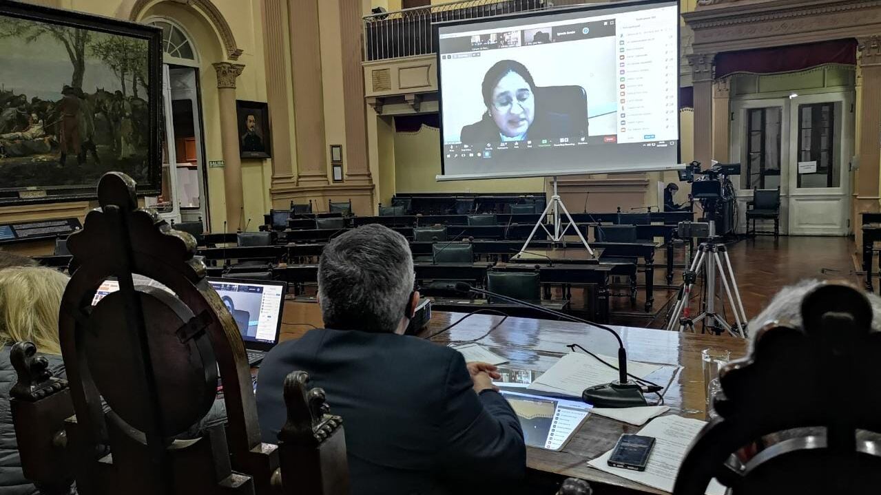 La sesión fue virtual