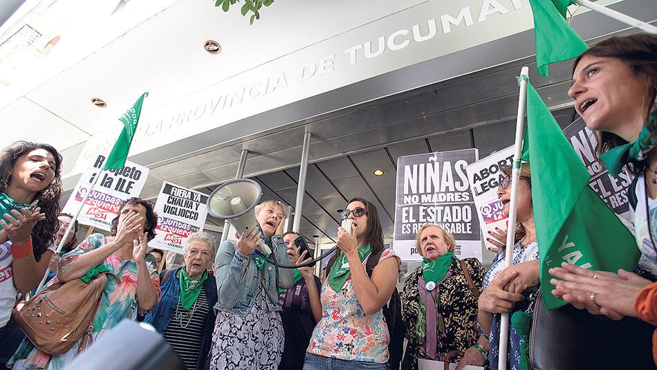 “En Tucumán, el ministerio sabe que éste es un aborto legal”, aseguró el funcionario que recibió el documento.
