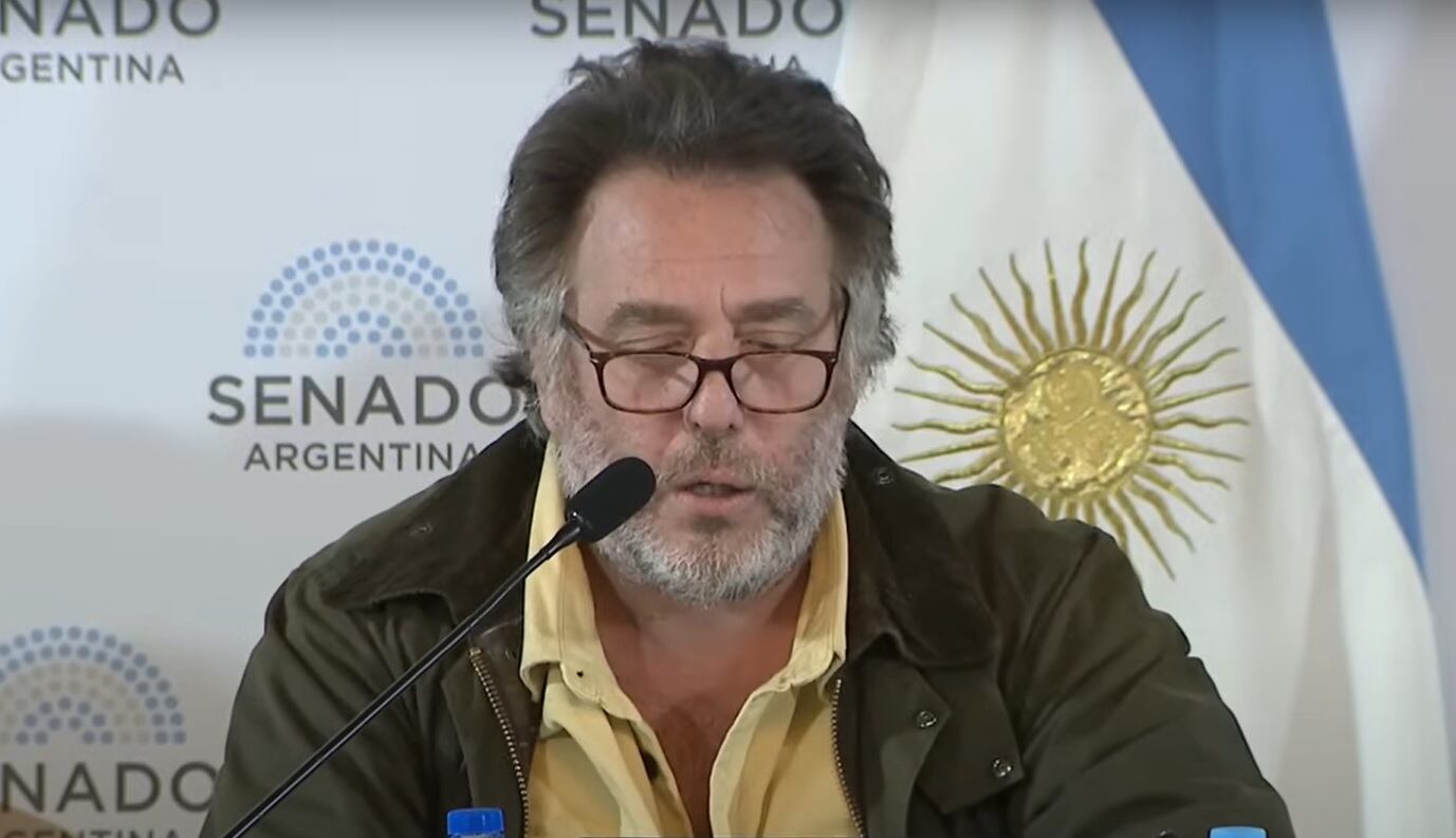 Llinás, en su intervención en el plenario. Imagen: Captura Senado Argentina.