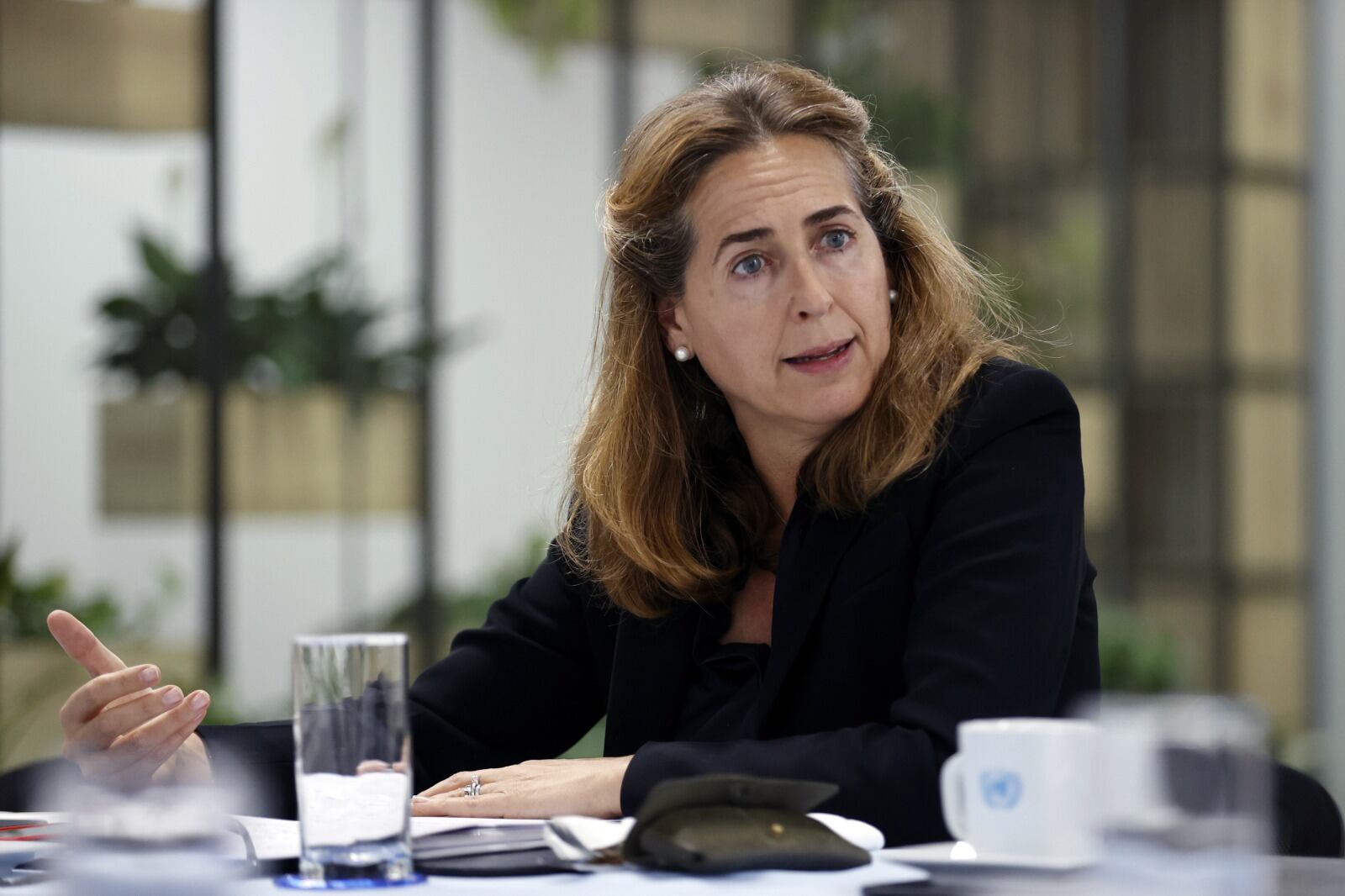  Sara Ferrer, coordinadora residente del PNUD en Colombia. 