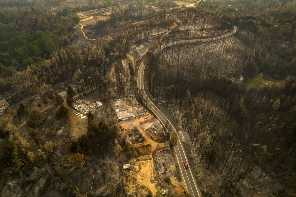 Área devastada en la comuna de Santa Juana, provincia de Concepción