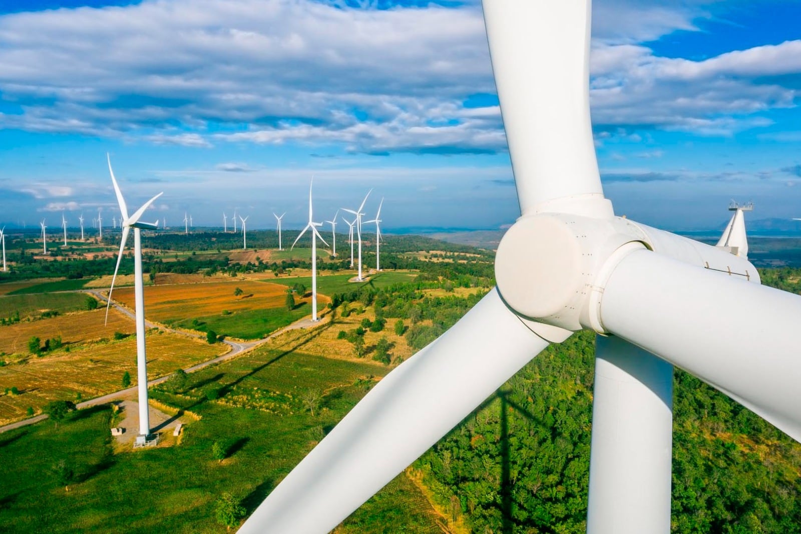 La energía eólica es la más relevante dentro de las renovables