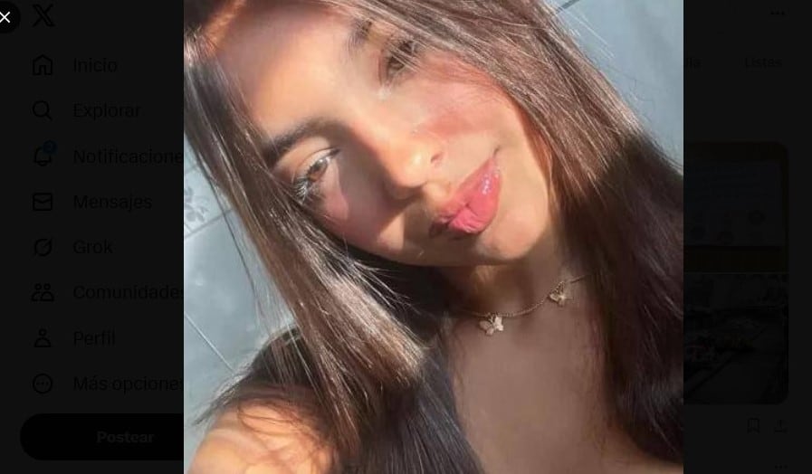 Ana Luiza Oliveira Neves había cumplido 17 años.