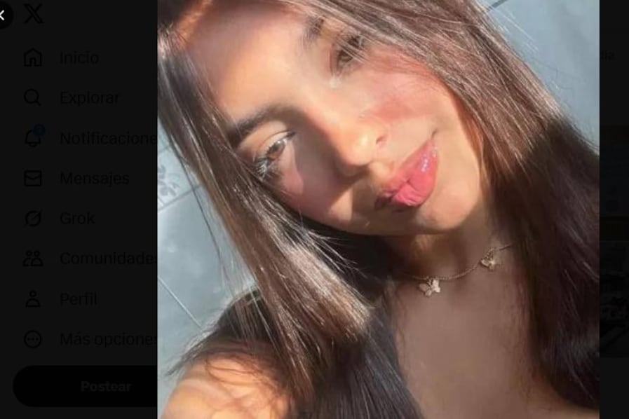 Ana Luiza Oliveira Neves había cumplido 17 años.