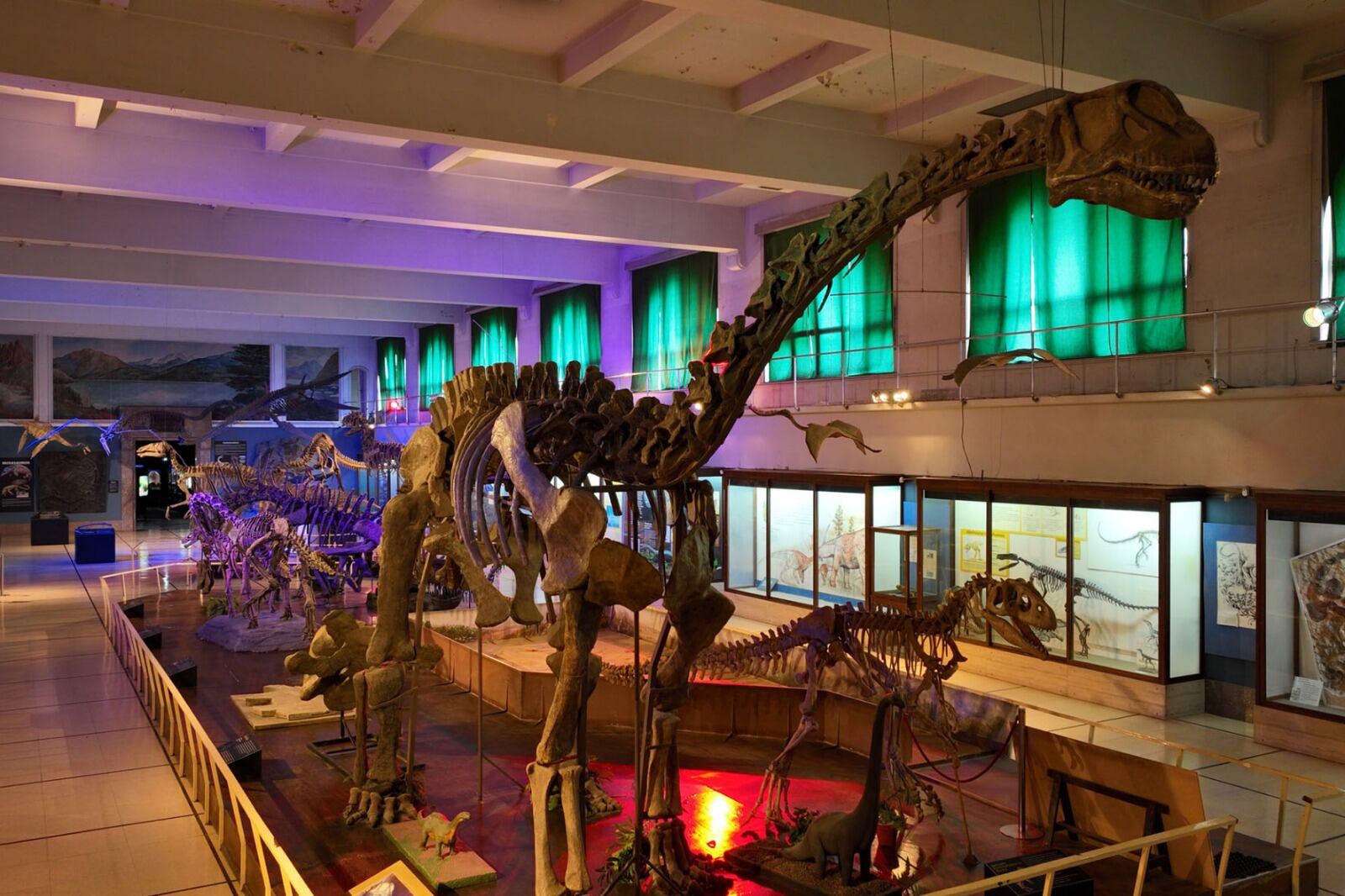 La Sala de los Dinosaurios será el escenario de este ciclo para toda la comunidad.