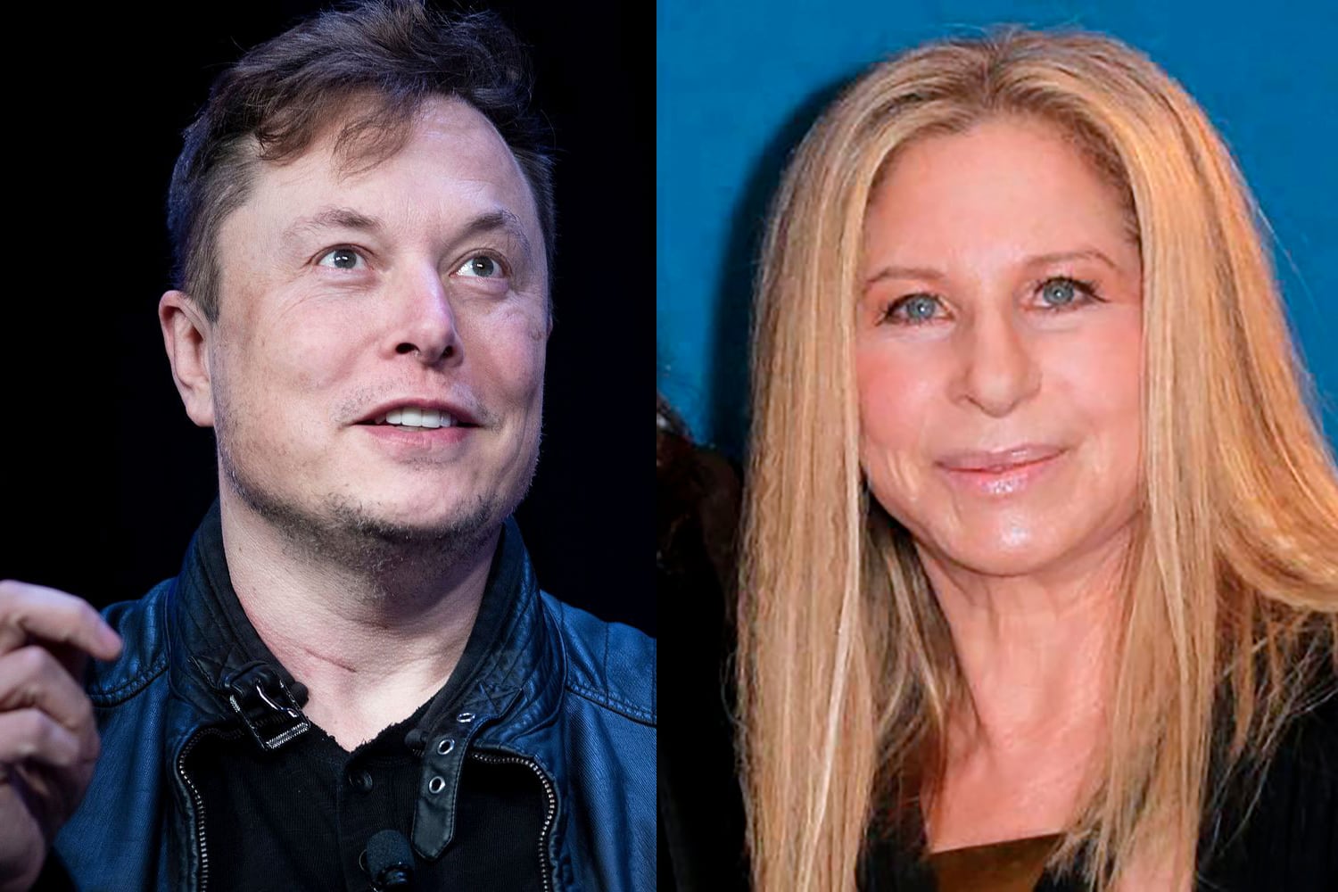 Elon Musk y su "admirada" Barbra Streisand.