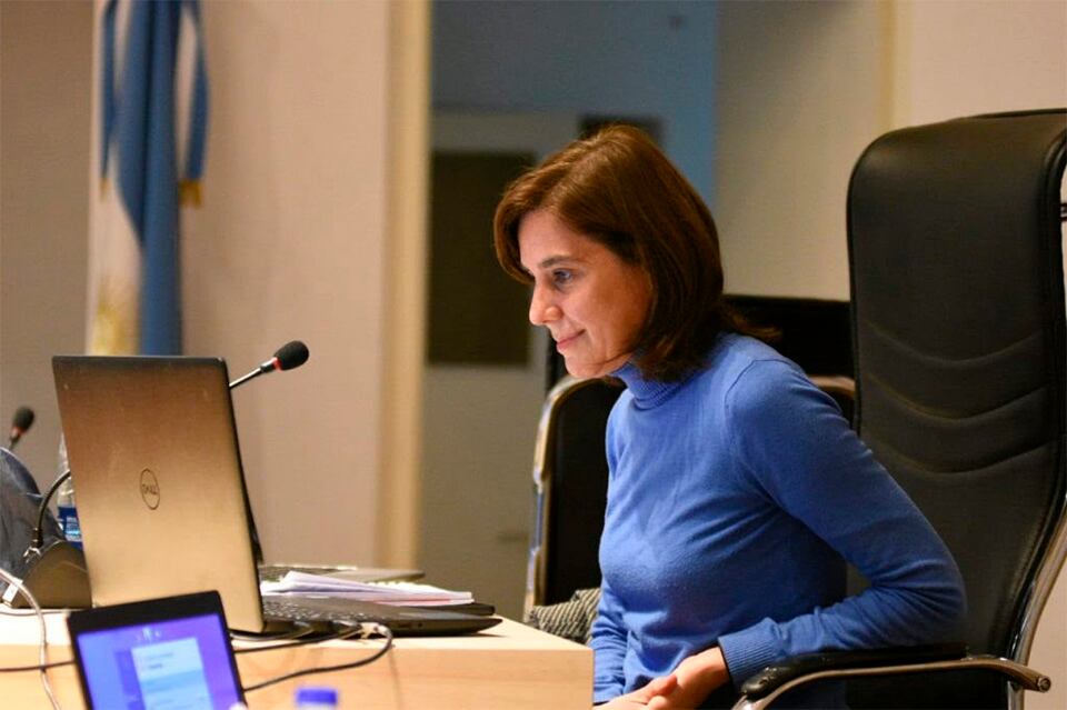 La concejala Carbajal coordinó la reunión virtual.