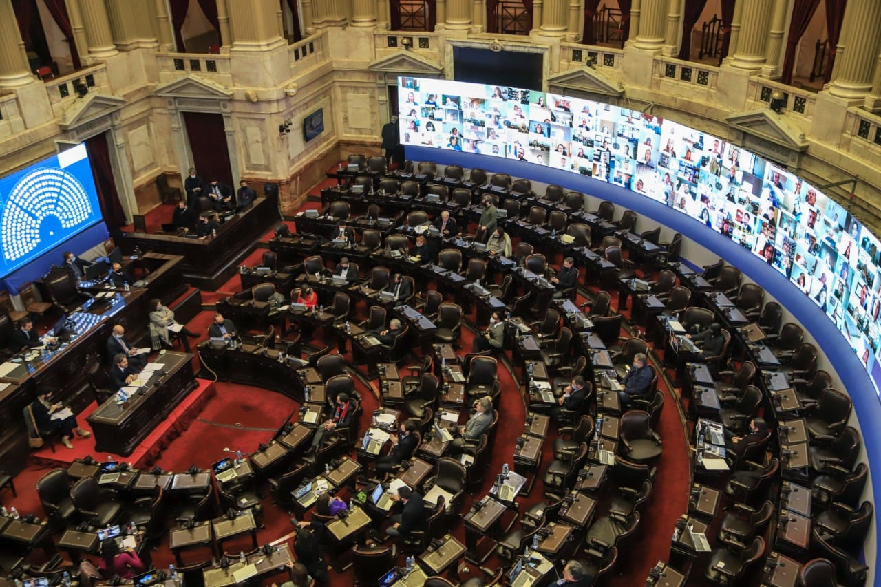 La Cámara de Diputados realiza una nueva sesión remota.