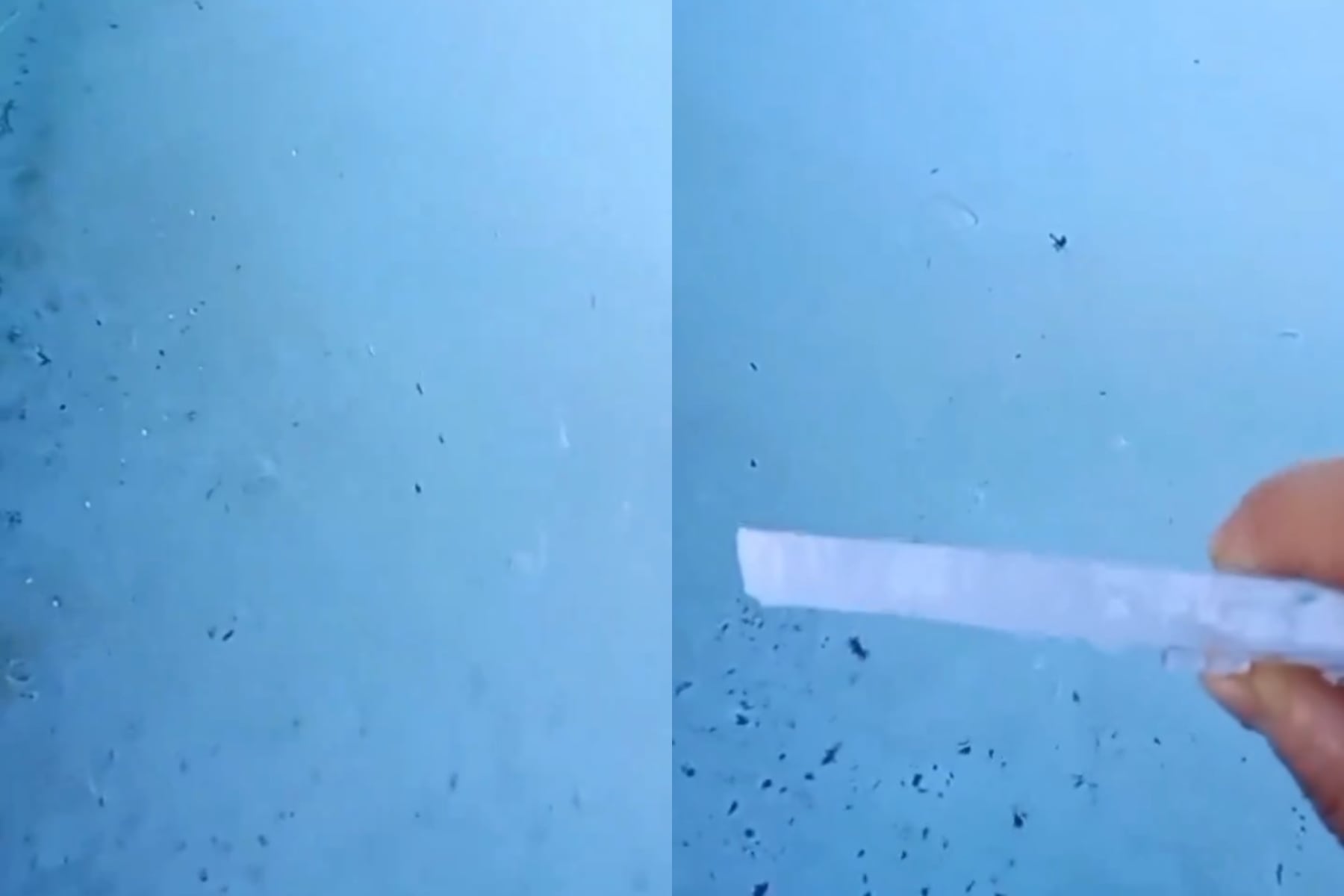 Por la ola de frío extremo, un pampeano mostró cómo se congeló el agua de su pileta