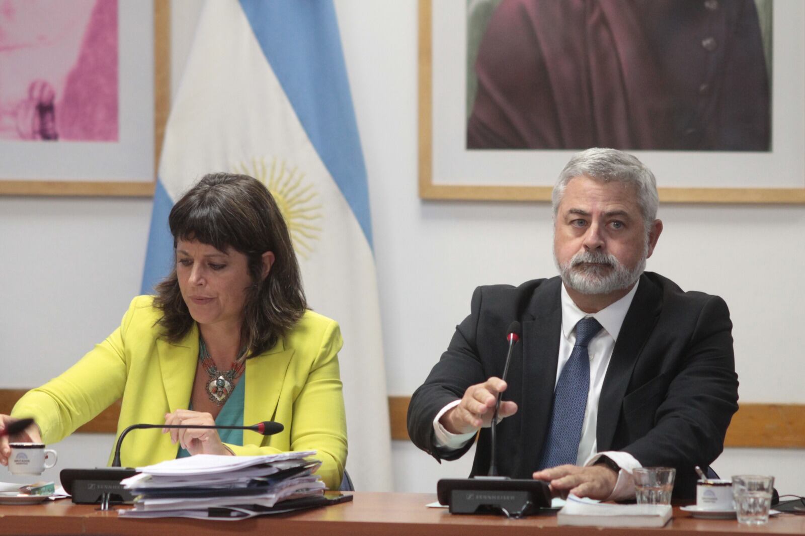Ramos acomoda el micrófono antes de declarar en la Comisión por Juicio Político