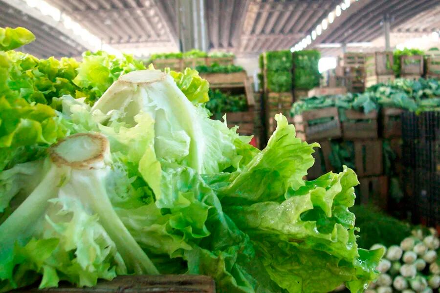 Alimentos explicó la desaceleración del mes pasado.