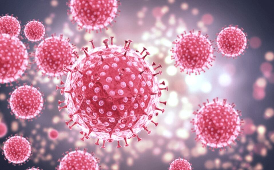 La estructura del virus del papiloma humano (vph).