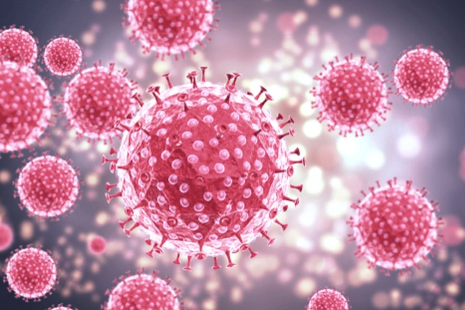 La estructura del virus del papiloma humano (vph).