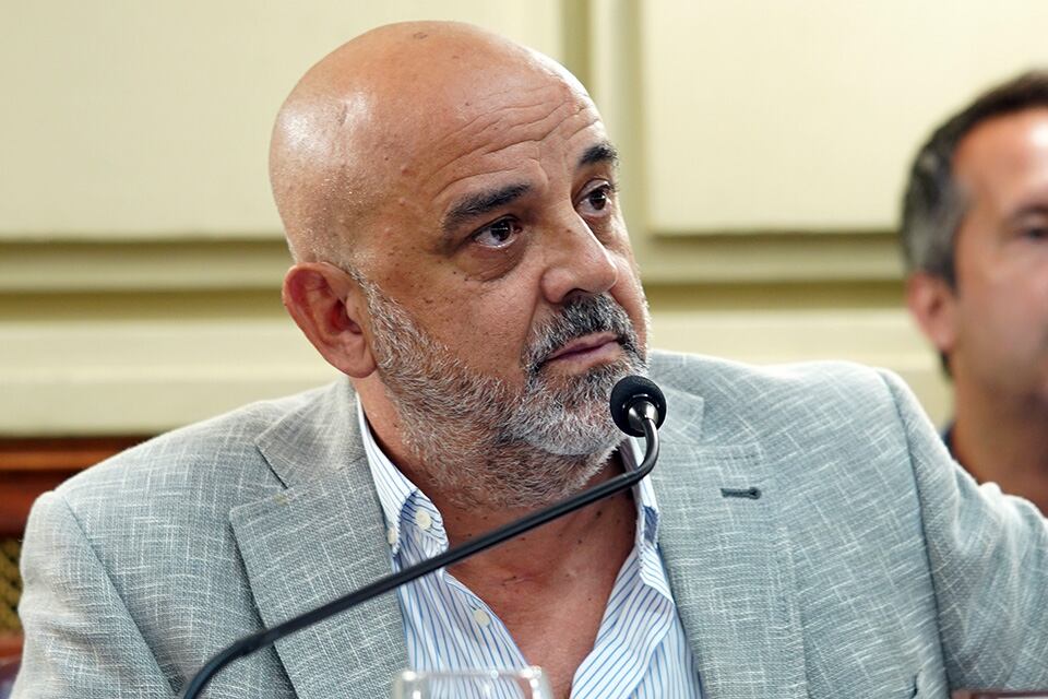 El diputado Palo Oliver dio a conocer los resultados de su informe.