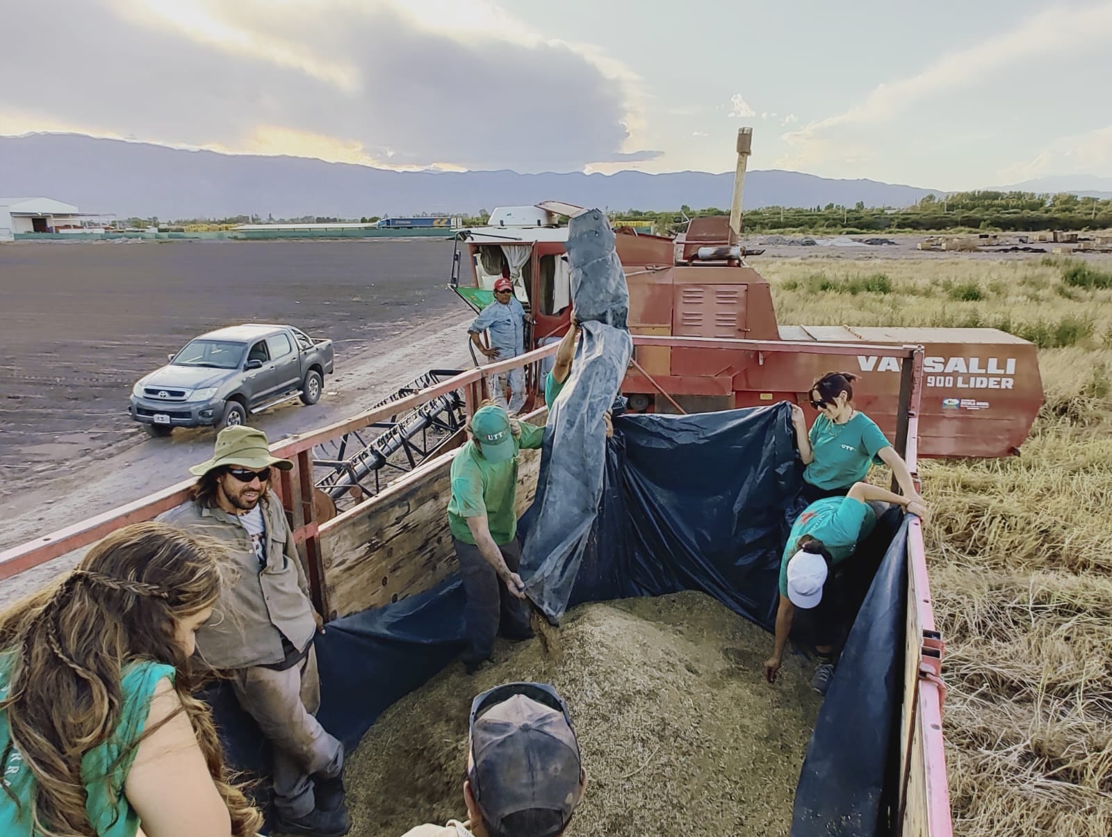 "Trabajamos sin agrotóxicos y con semillas de polinización abierta", sostienen en la Cooperativa.
