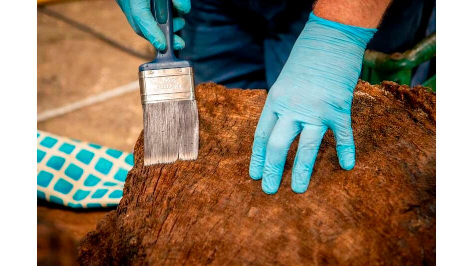 El ataúd, uno de los 65 hallados en toda Gran Bretaña, fue trasladado a la organización benéfica educativa York Archaeological Trust, donde se completará su restauración.   