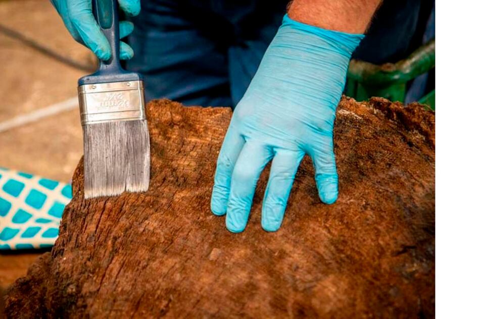 El ataúd, uno de los 65 hallados en toda Gran Bretaña, fue trasladado a la organización benéfica educativa York Archaeological Trust, donde se completará su restauración.