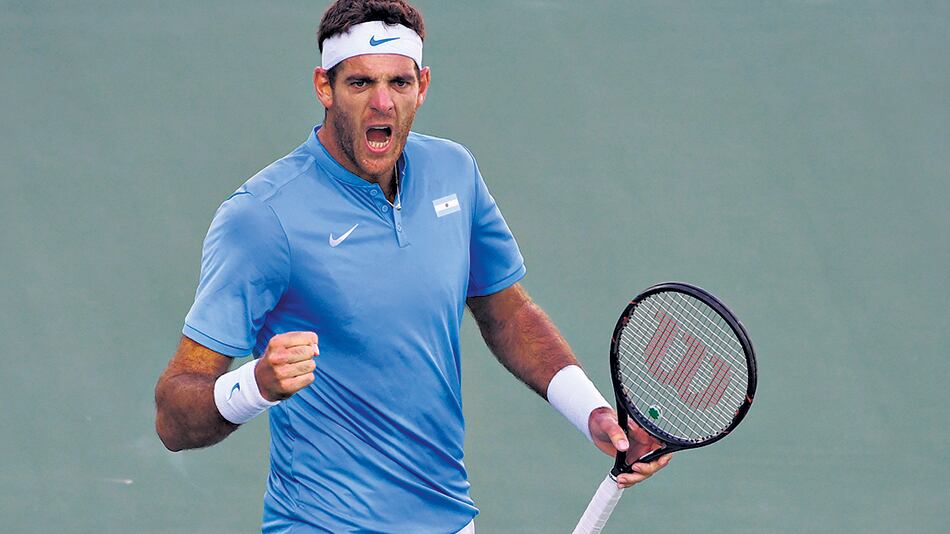 Del Potro sigue subiendo y ya está en la 28a posición.