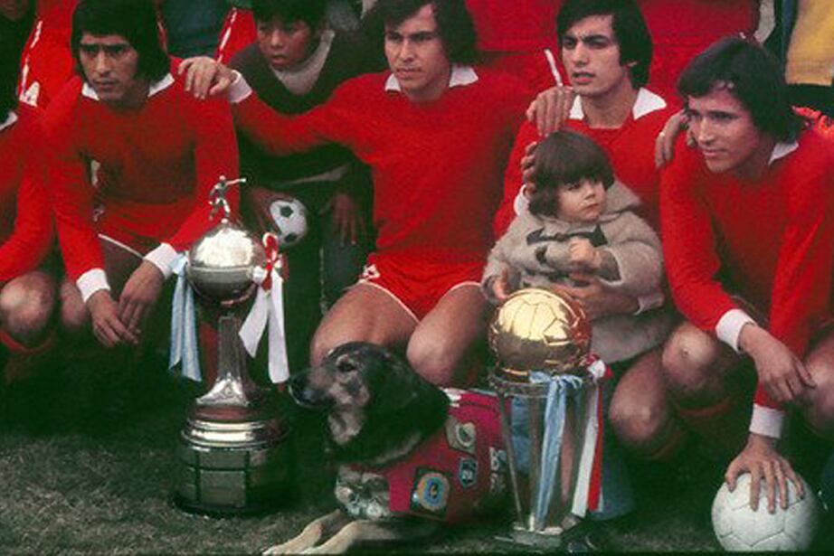 Boneco, el glorioso perro del Rojo.