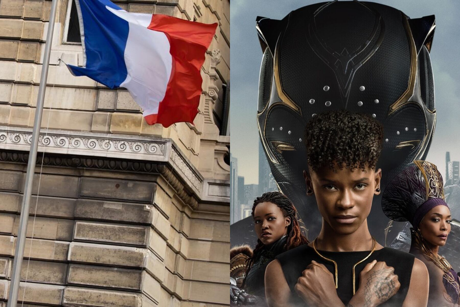 En el film, aparecen tropas francesas que buscan saquear recursos del reino africano ficticio de Wakanda. (Foto: AFP/Disney)