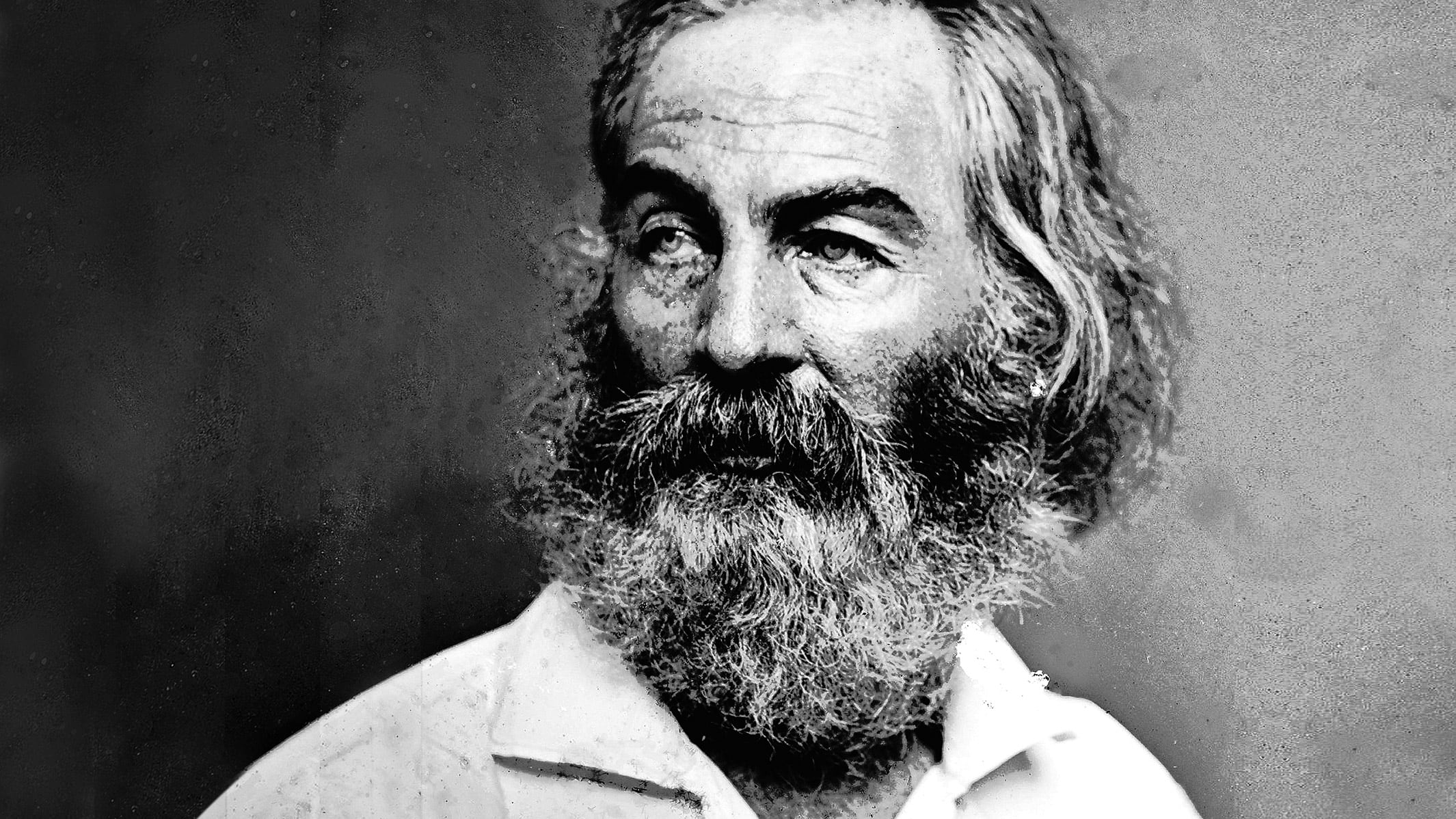 El traductor plantea que el argumento de la novela de Whitman tiene “un tinte dickensiano”.